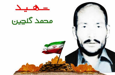 محمد گلچین